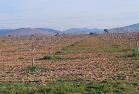 Ciudad Real 170000&nbsp;m²