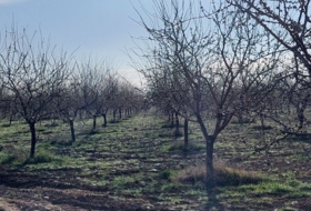 Ciudad Real 170000&nbsp;m²