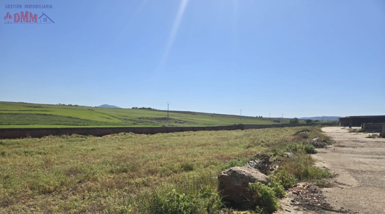 Toledo - Urda - 22000m2