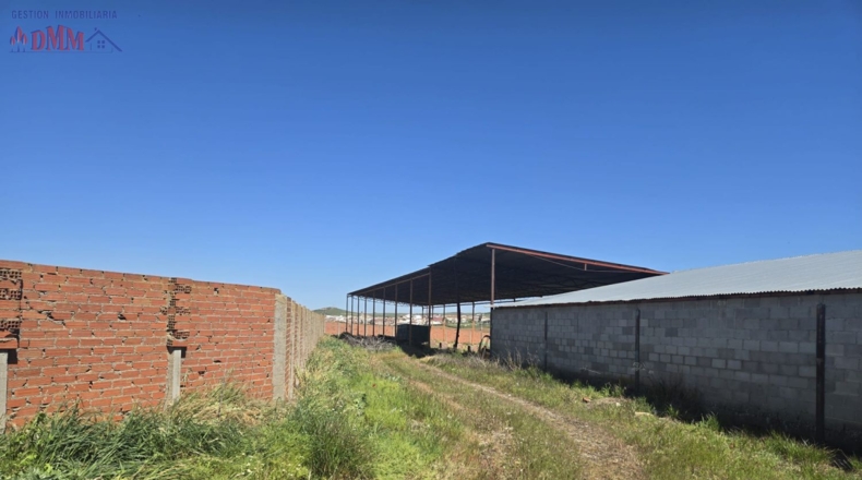 Toledo - Urda - 22000m2