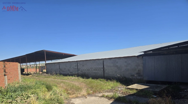 Toledo - Urda - 22000m2