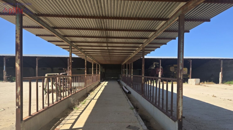 Toledo - Urda - 22000m2