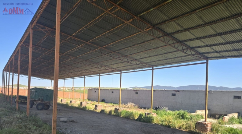 Toledo - Urda - 22000m2