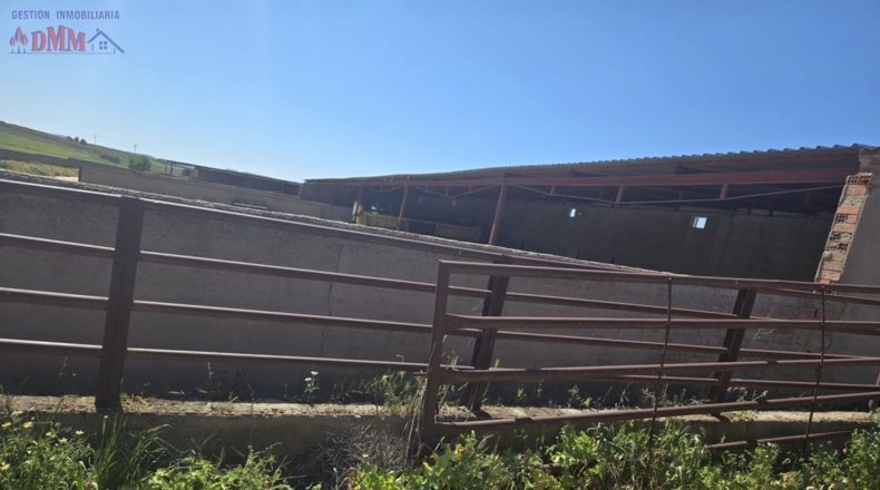 Toledo - Urda - 22000m2