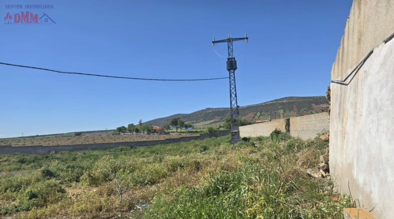 Toledo - Urda - 22000m2