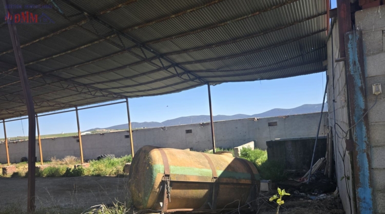 Toledo - Urda - 22000m2