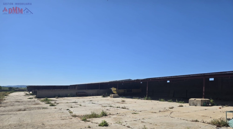 Toledo - Urda - 22000m2
