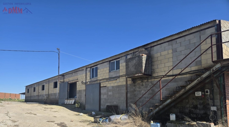 Toledo - Urda - 22000m2