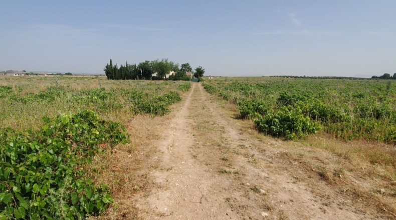 Ciudad Real - Каррион-де-Калатрава - 124498m2