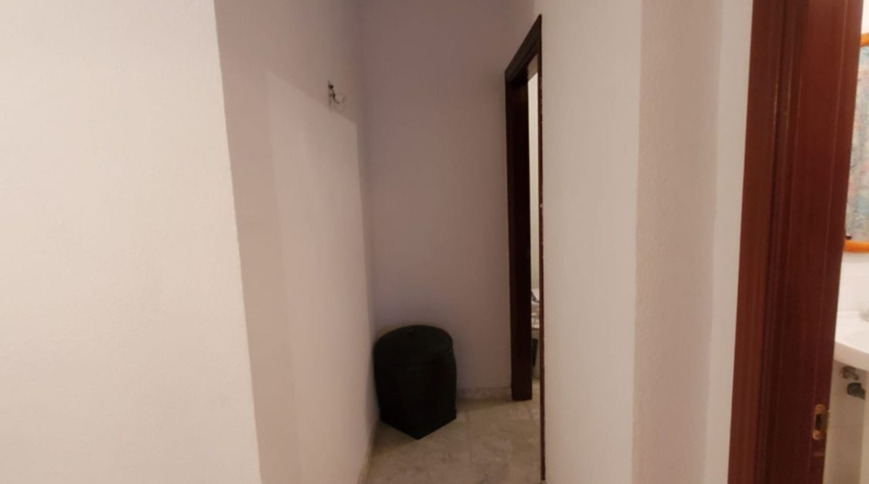 Ciudad Real - Malagón - 342m2