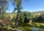 Detached villa with land for sale in Malagón ref: TR307824 photo