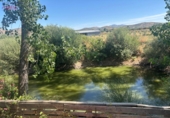 Detached villa with land for sale in Malagón ref: TR307824 photo
