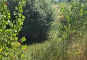Detached villa with land for sale in Malagón ref: TR307824 photo