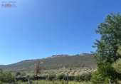 Detached villa with land for sale in Malagón ref: TR307824 photo