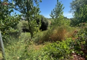 Detached villa with land for sale in Malagón ref: TR307824 photo