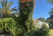 Detached villa with land for sale in Malagón ref: TR307824 photo