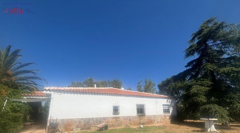 Ciudad Real - Малагон - 6432m2