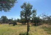 Detached villa with land for sale in Malagón ref: TR307824 photo