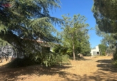 Detached villa with land for sale in Malagón ref: TR307824 photo