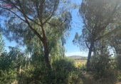 Detached villa with land for sale in Malagón ref: TR307824 photo