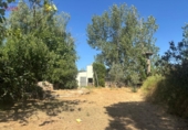 Detached villa with land for sale in Malagón ref: TR307824 photo