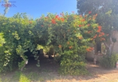 Detached villa with land for sale in Malagón ref: TR307824 photo