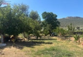 Detached villa with land for sale in Malagón ref: TR307824 photo