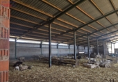 Finca rústica en venda a Ciudad Real ref.: TR329244 foto