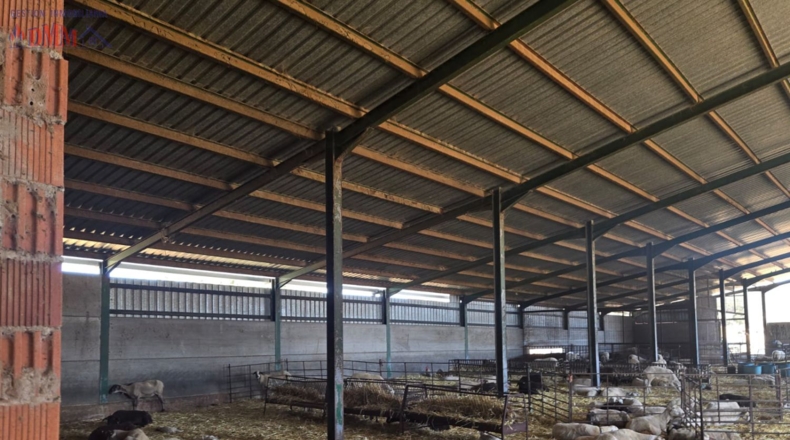 Ciudad Real - Brazatortas - 55036m2