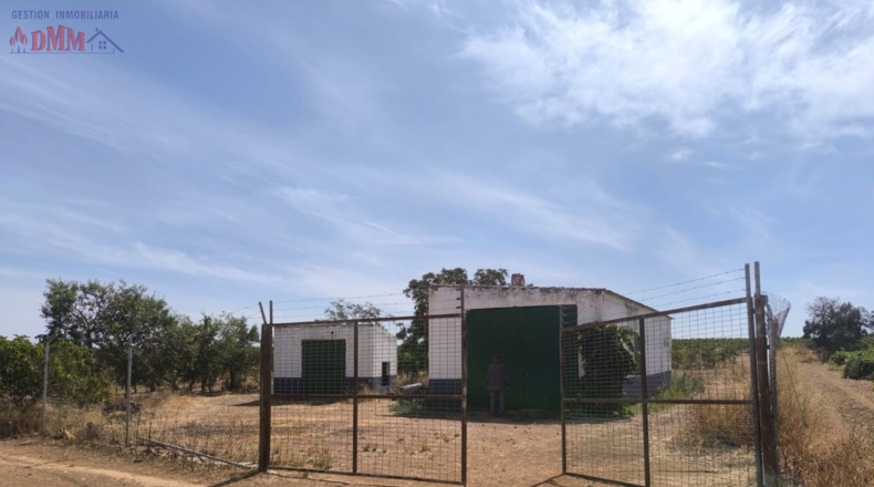 Ciudad Real - Торральба-де-Калатрава - 83000m2