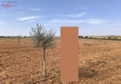 Non-developable land for sale in Granátula de Calatrava ref: TR339811 photo