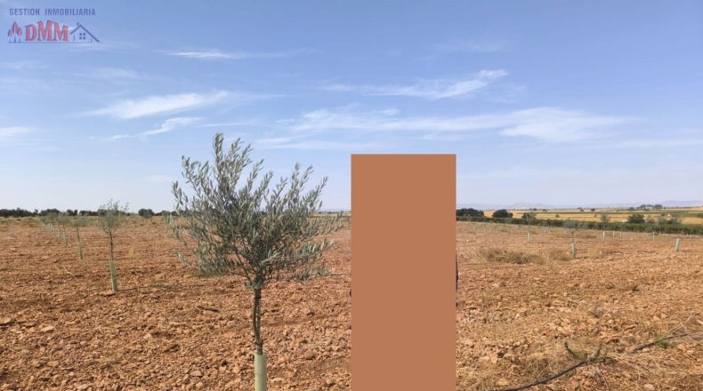Ciudad Real - Торральба-де-Калатрава - 83000m2