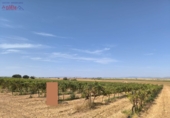 Non-developable land for sale in Granátula de Calatrava ref: TR339811 photo