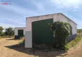 Non-developable land for sale in Granátula de Calatrava ref: TR339811 photo