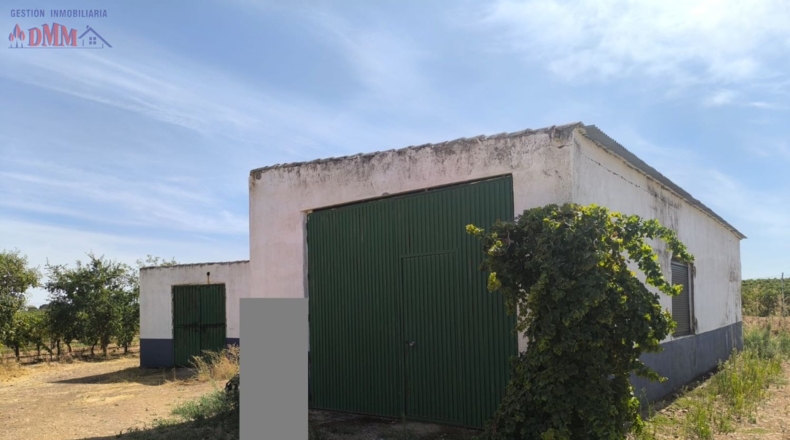 Ciudad Real - Торральба-де-Калатрава - 83000m2
