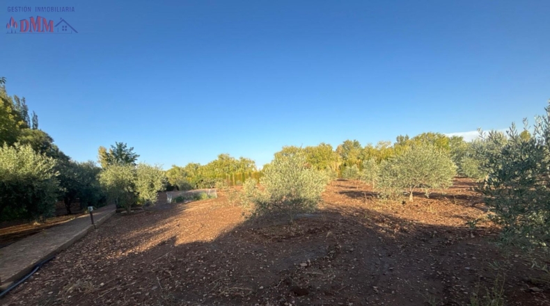 Ciudad Real - Malagón - 6961m2