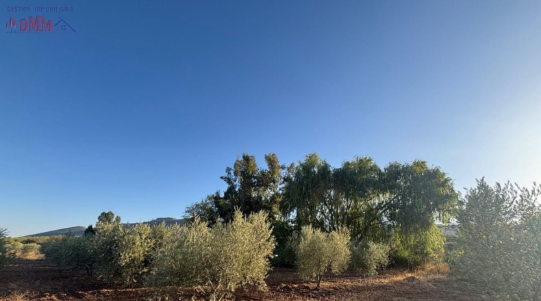 Ciudad Real - Malagón - 6961m2