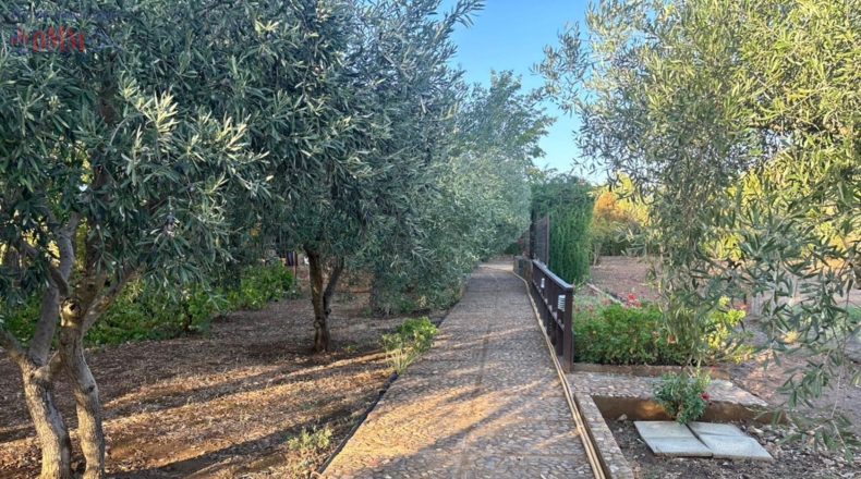 Ciudad Real - Malagón - 6961m2