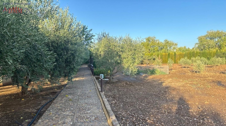 Ciudad Real - Malagón - 6961m2