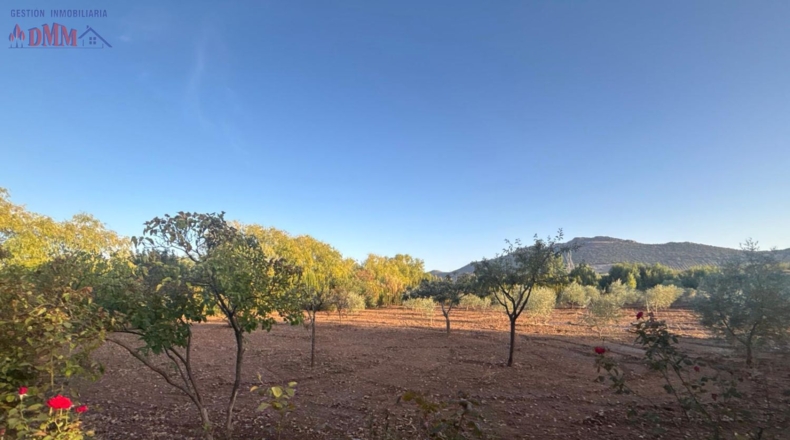 Ciudad Real - Malagón - 6961m2
