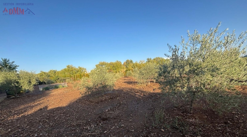Ciudad Real - Malagón - 6961m2