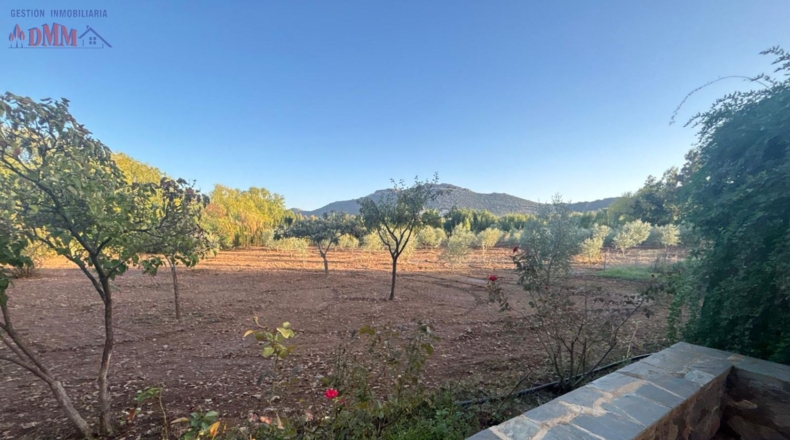 Ciudad Real - Malagón - 6961m2