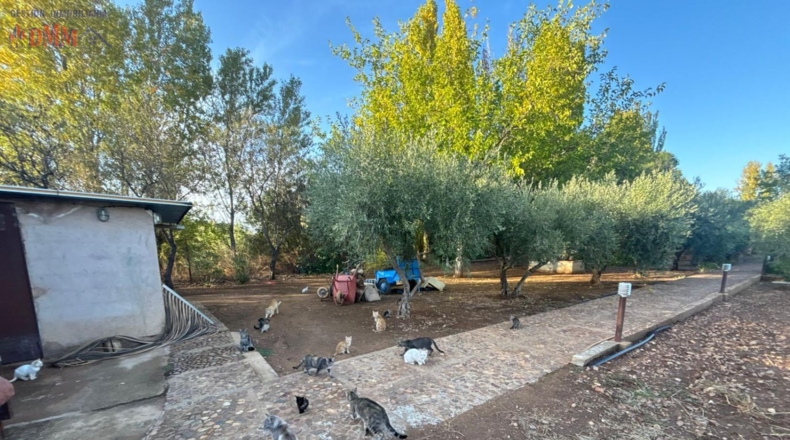 Ciudad Real - Malagón - 6961m2