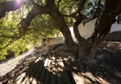Masía con terreno en venta en La Herradura ref: TR199935 foto