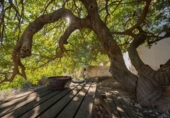 Masía con terreno en venta en La Herradura ref: TR199935 foto