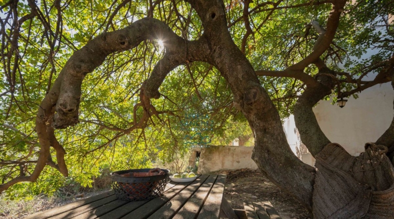 Granada - La Herradura - 12000m2
