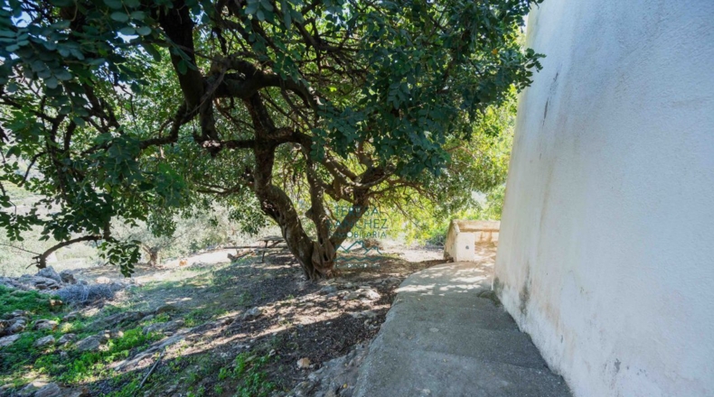 Granada - La Herradura - 12000m2