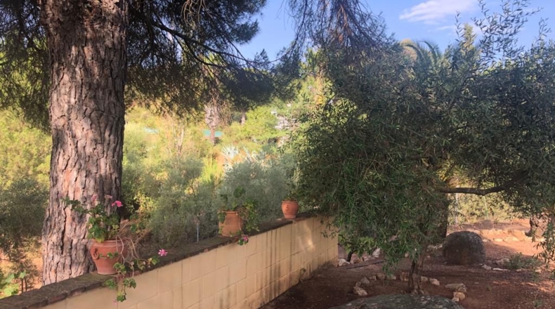 Sevilla - Lora del Río - 25902m2