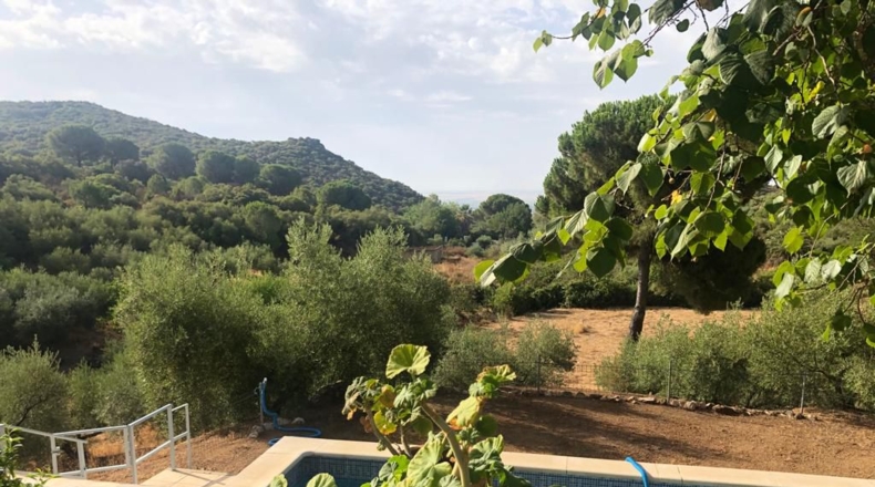 Sevilla - Lora del Río - 25902m2