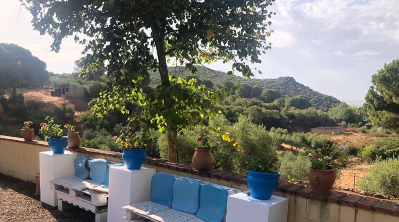 Sevilla - Lora del Río - 25902m2